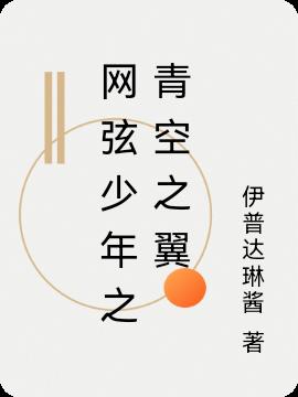网弦少年之青空之翼